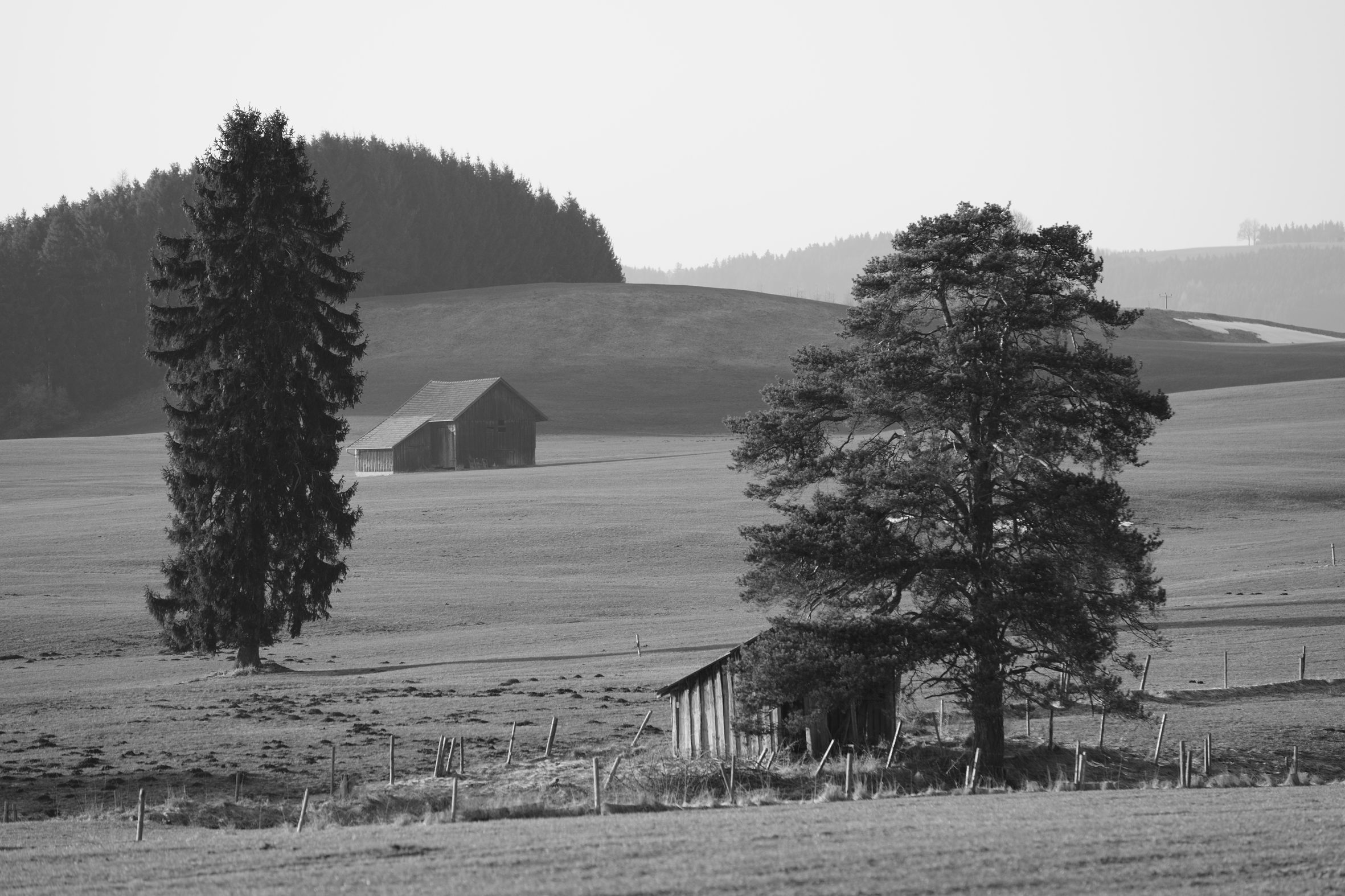 Feldstadel