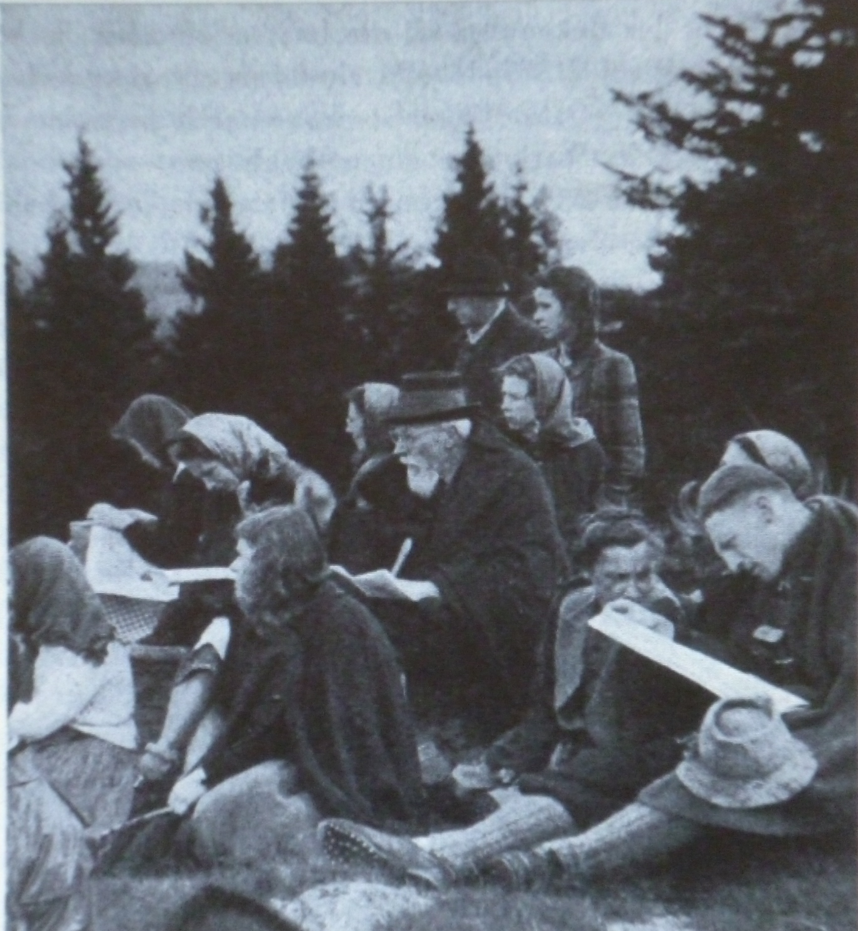 Feldstudien
