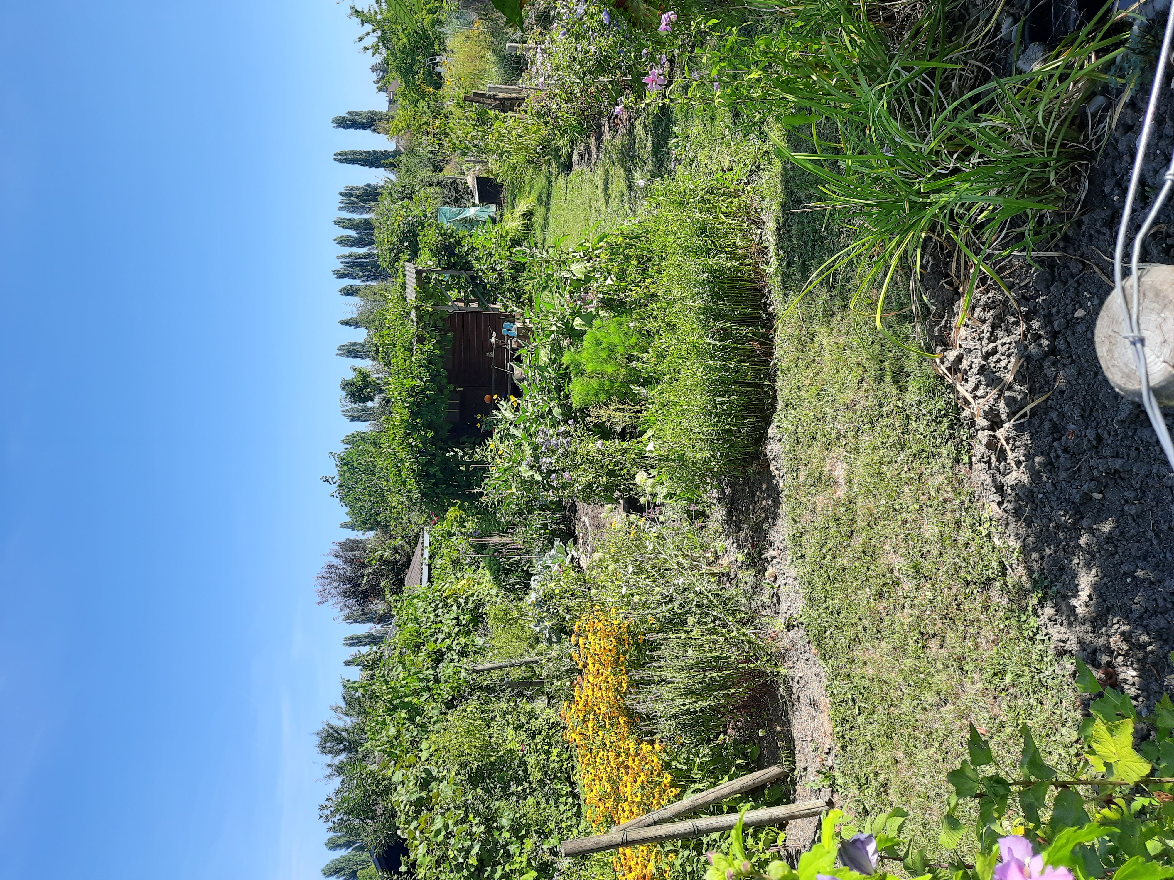 Kleingarten