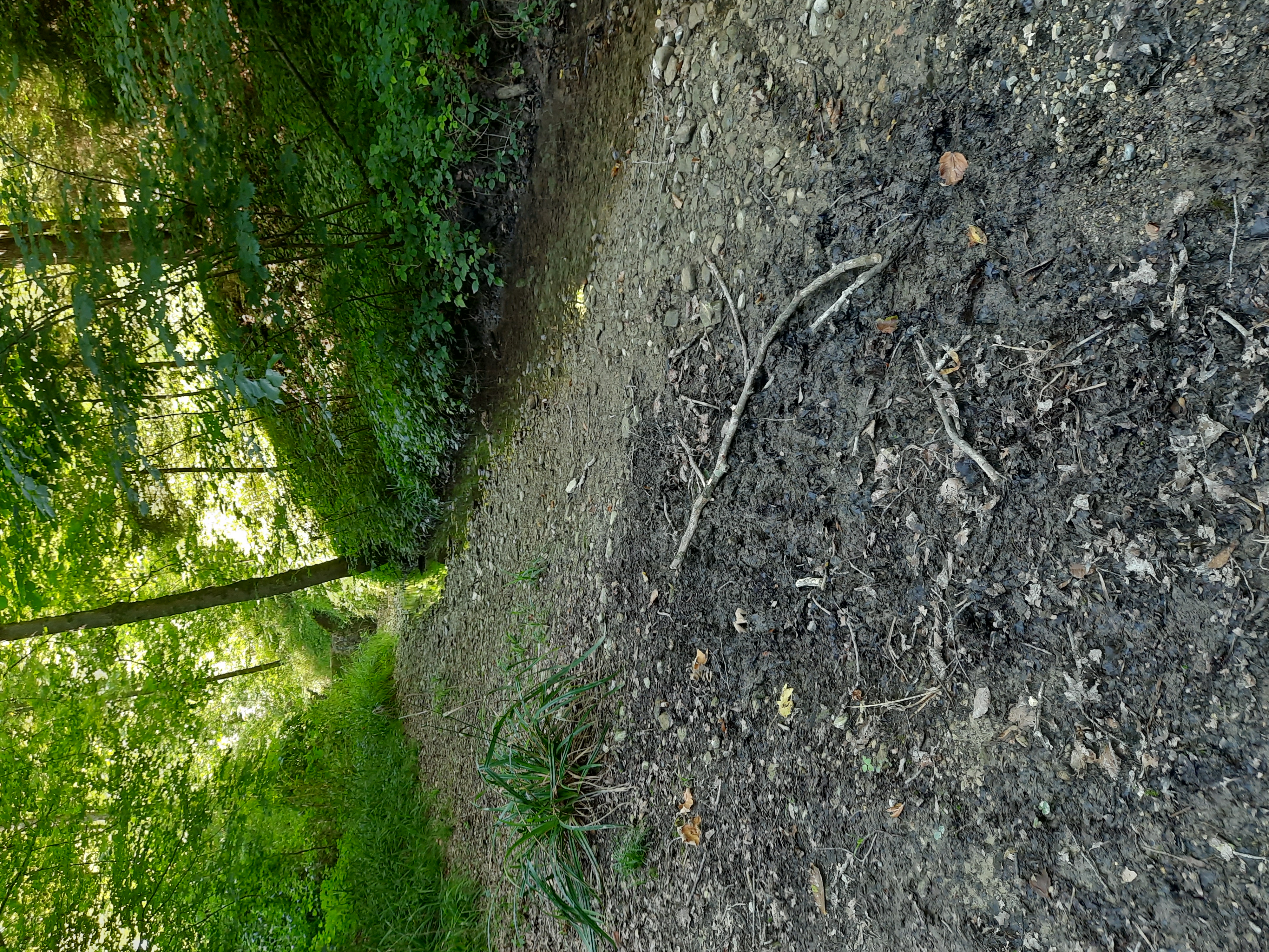 Am Bach